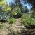 Para Thin Alos Photo Gallery - Garden Area